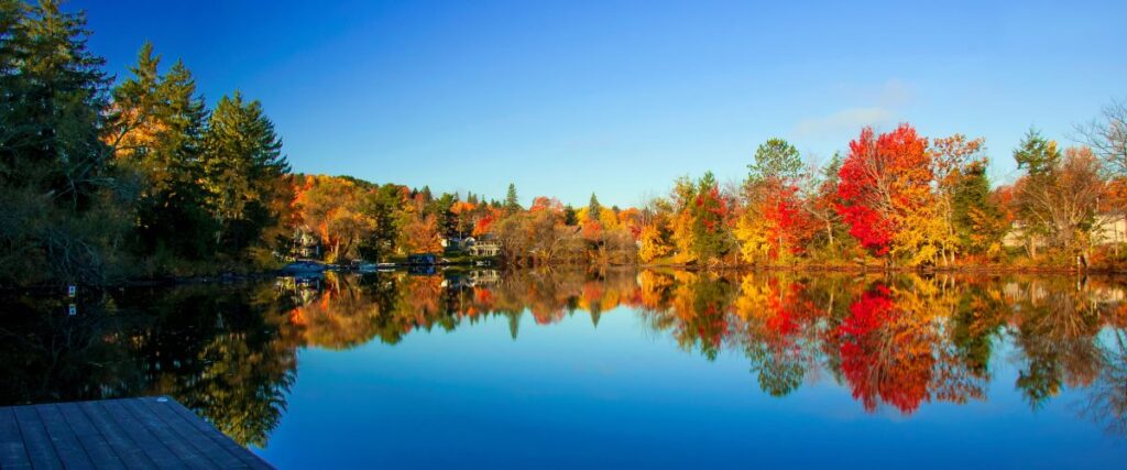 Autumn in Muskoka