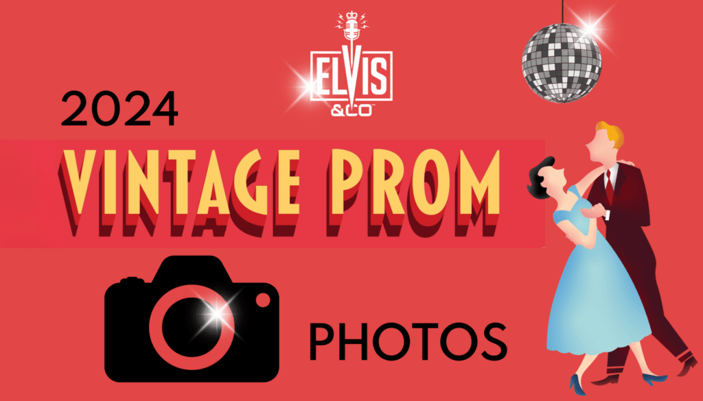 2024 Elvis and Co Photos
